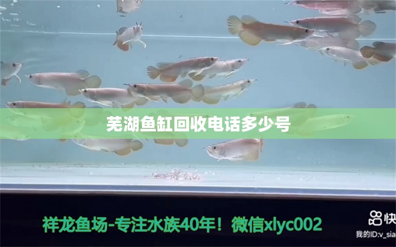 蕪湖魚缸回收電話多少號(hào)