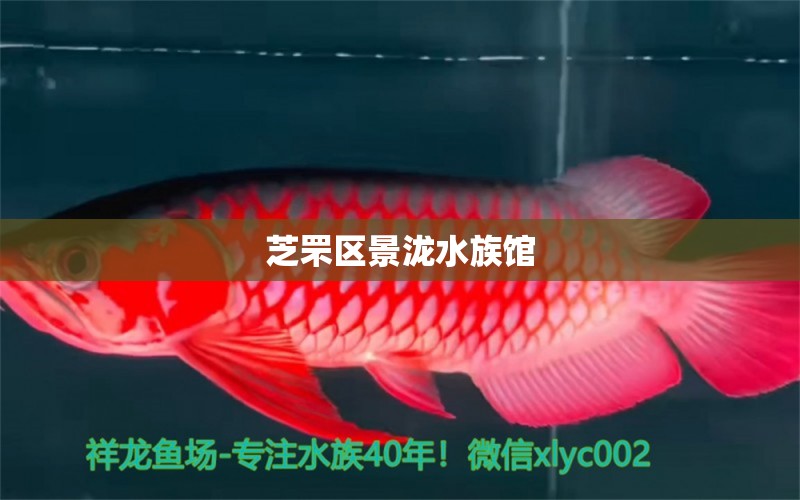 芝罘區(qū)景瀧水族館