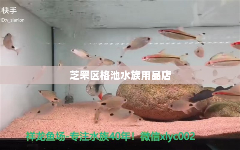 芝罘區(qū)格池水族用品店 水族用品