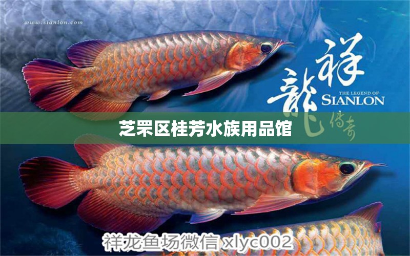 芝罘區(qū)桂芳水族用品館 水族用品