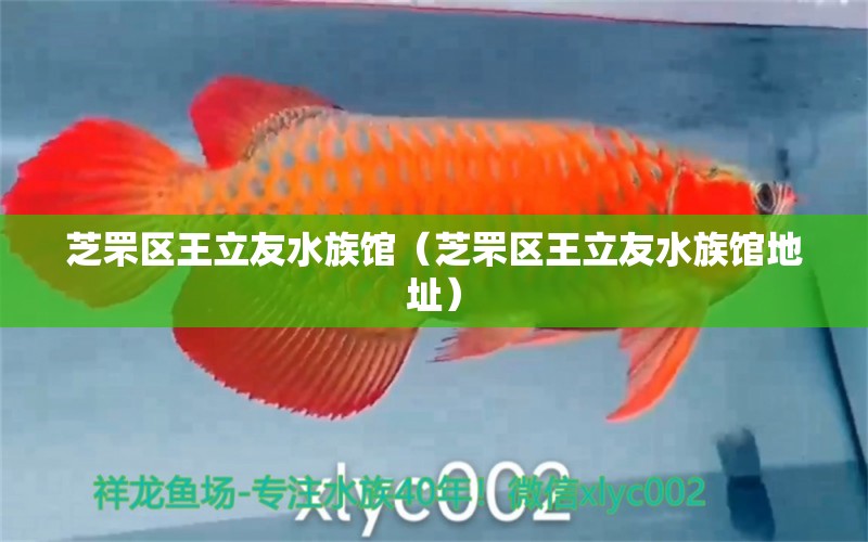 芝罘區(qū)王立友水族館（芝罘區(qū)王立友水族館地址）