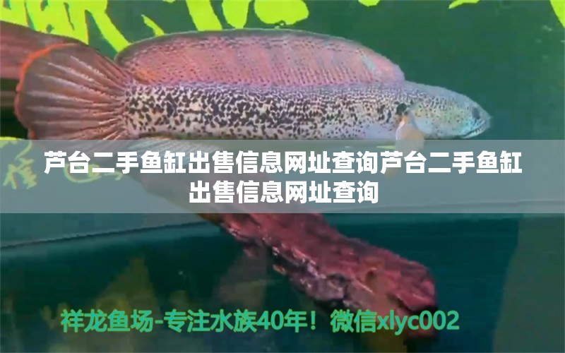 蘆臺二手魚缸出售信息網(wǎng)址查詢蘆臺二手魚缸出售信息網(wǎng)址查詢