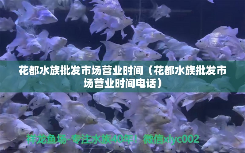 花都水族批發(fā)市場(chǎng)營業(yè)時(shí)間（花都水族批發(fā)市場(chǎng)營業(yè)時(shí)間電話） 肺魚