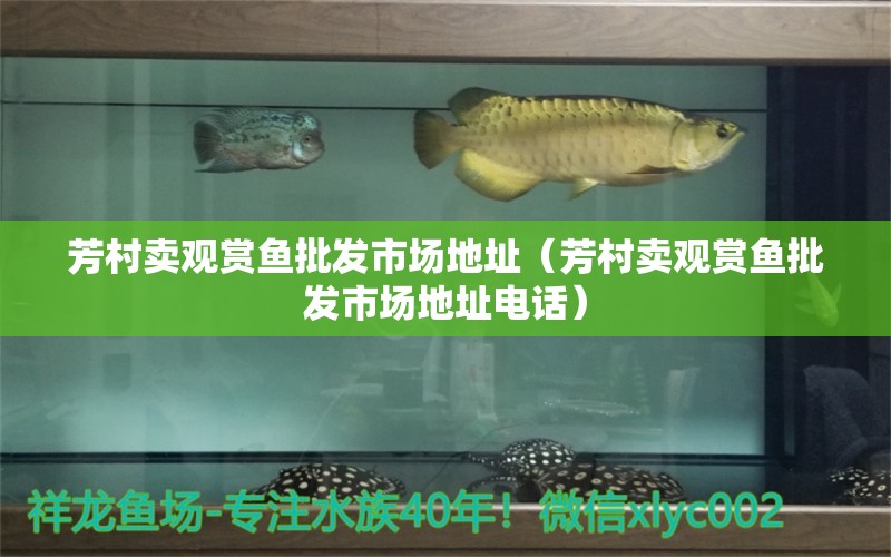 芳村賣(mài)觀賞魚(yú)批發(fā)市場(chǎng)地址（芳村賣(mài)觀賞魚(yú)批發(fā)市場(chǎng)地址電話）