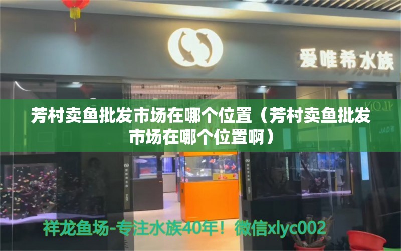 芳村賣魚批發(fā)市場在哪個(gè)位置（芳村賣魚批發(fā)市場在哪個(gè)位置?。? title=