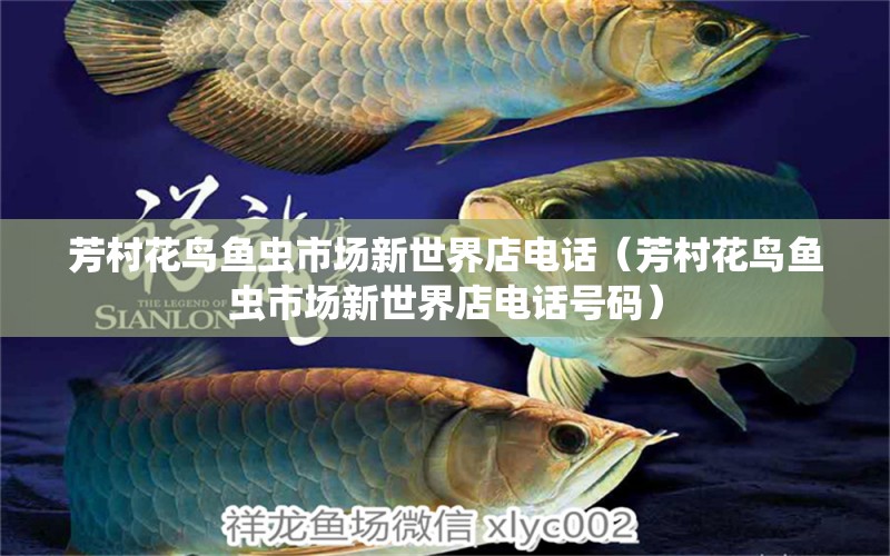 芳村花鳥魚蟲市場新世界店電話（芳村花鳥魚蟲市場新世界店電話號碼） 祥龍金禾金龍魚