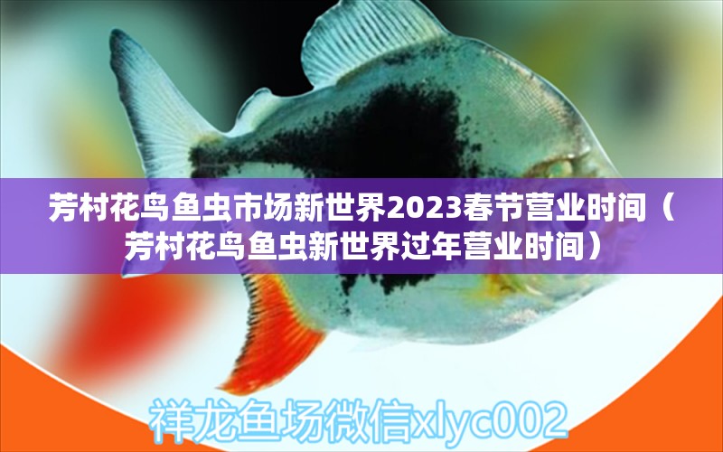 芳村花鳥魚蟲市場新世界2023春節(jié)營業(yè)時間（芳村花鳥魚蟲新世界過年營業(yè)時間） 祥龍水族醫(yī)院