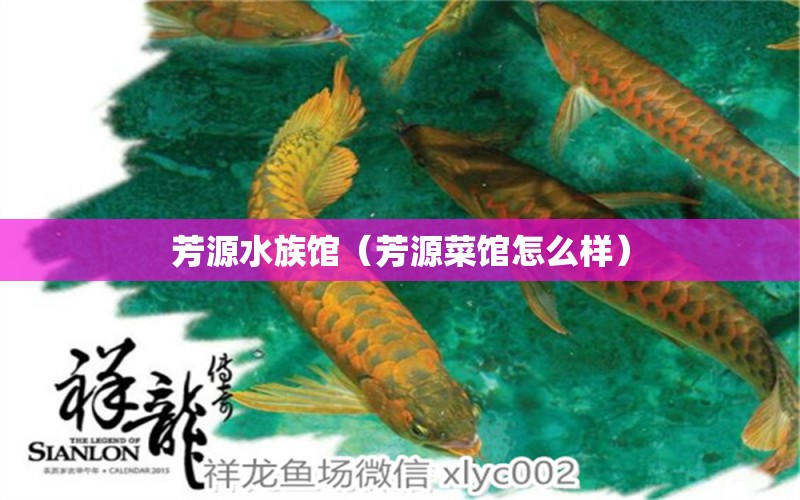 芳源水族館（芳源菜館怎么樣）