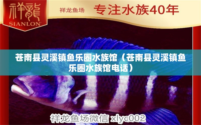 蒼南縣靈溪鎮(zhèn)魚樂(lè)圈水族館（蒼南縣靈溪鎮(zhèn)魚樂(lè)圈水族館電話）