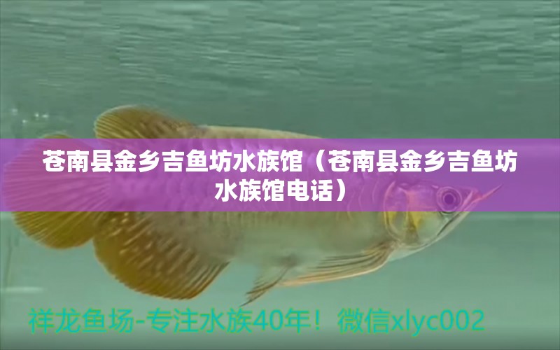 蒼南縣金鄉(xiāng)吉魚坊水族館（蒼南縣金鄉(xiāng)吉魚坊水族館電話）