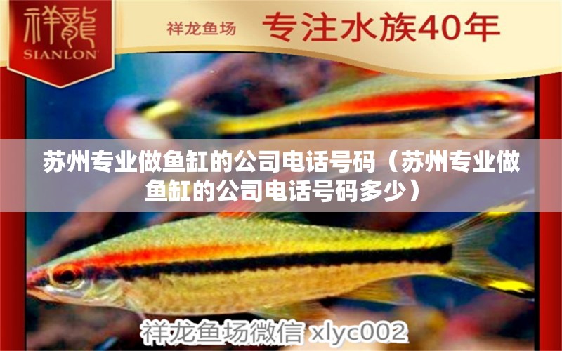 蘇州專業(yè)做魚缸的公司電話號碼（蘇州專業(yè)做魚缸的公司電話號碼多少） 祥龍水族醫(yī)院