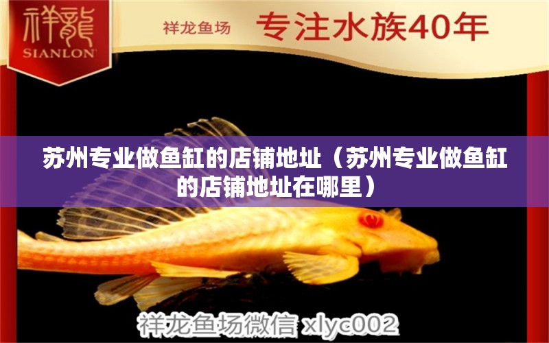 蘇州專業(yè)做魚缸的店鋪地址（蘇州專業(yè)做魚缸的店鋪地址在哪里）