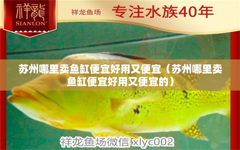 蘇州哪里賣魚缸便宜好用又便宜（蘇州哪里賣魚缸便宜好用又便宜的）