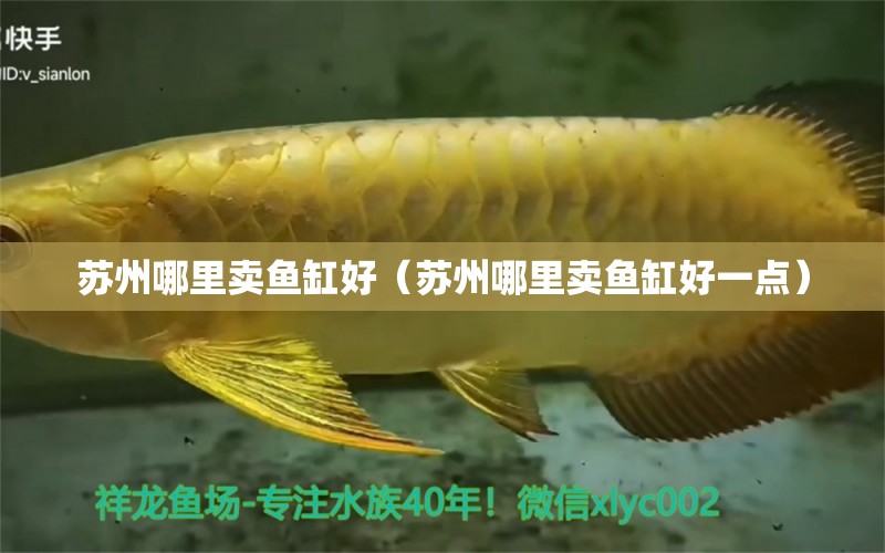 蘇州哪里賣魚缸好（蘇州哪里賣魚缸好一點(diǎn)） 祥龍魚場(chǎng)