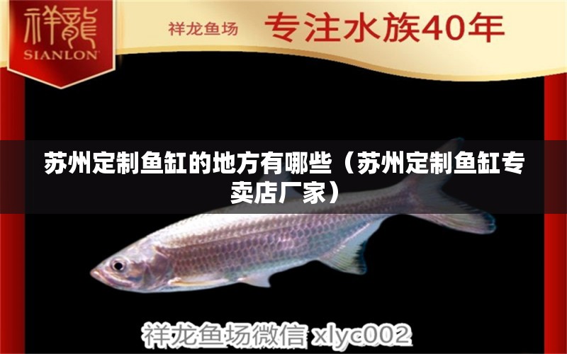 蘇州定制魚(yú)缸的地方有哪些（蘇州定制魚(yú)缸專(zhuān)賣(mài)店廠(chǎng)家）