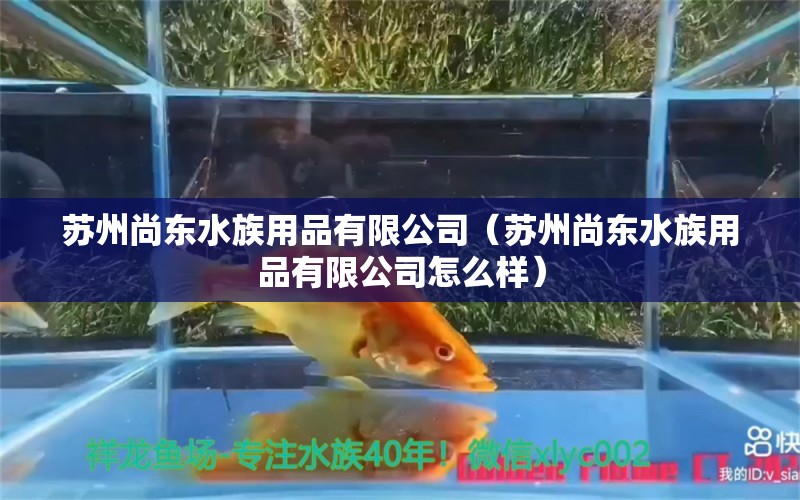 蘇州尚東水族用品有限公司（蘇州尚東水族用品有限公司怎么樣）