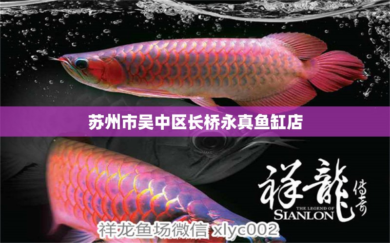 蘇州市吳中區(qū)長橋永真魚缸店 全國水族館企業(yè)名錄