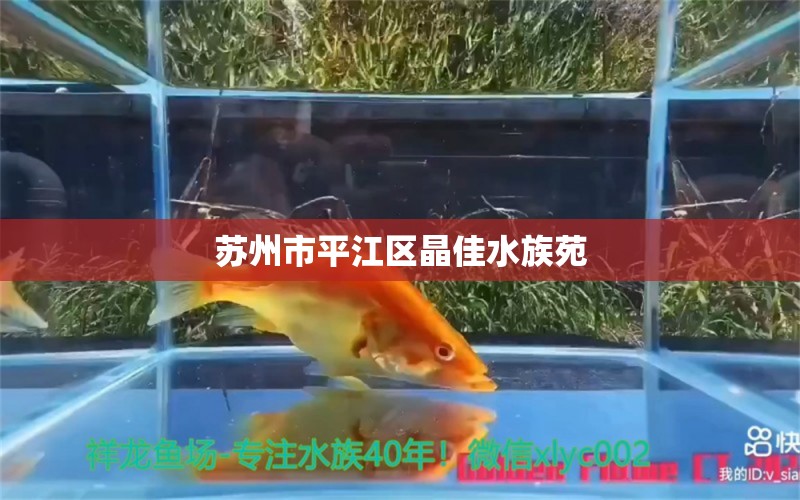 蘇州市平江區(qū)晶佳水族苑 全國水族館企業(yè)名錄