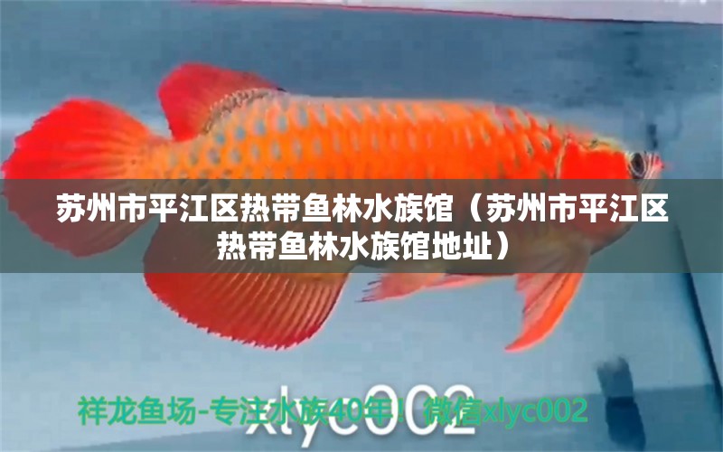 蘇州市平江區(qū)熱帶魚林水族館（蘇州市平江區(qū)熱帶魚林水族館地址） 全國水族館企業(yè)名錄