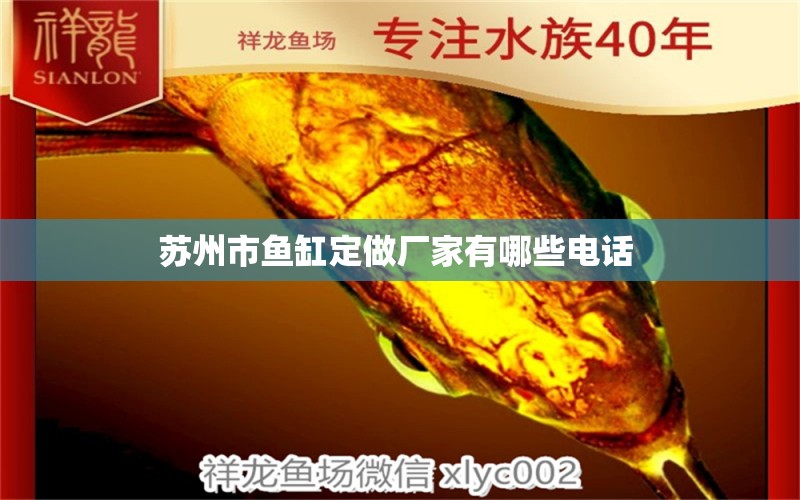 蘇州市魚(yú)缸定做廠家有哪些電話(huà)  喂食器