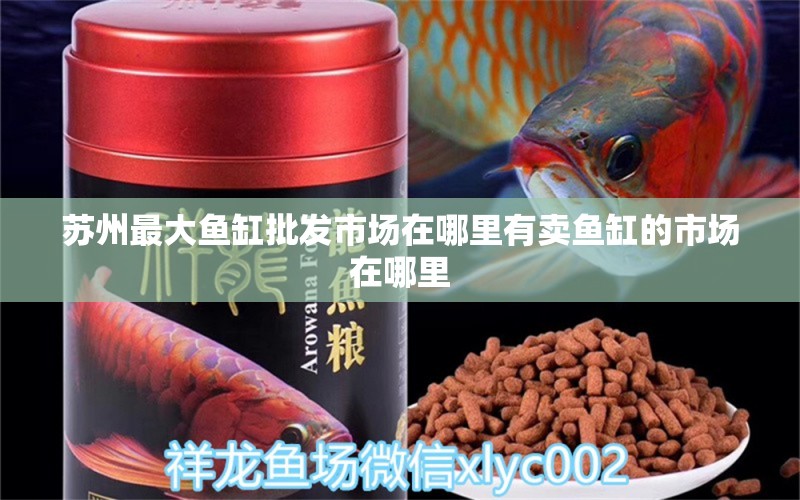 蘇州最大魚缸批發(fā)市場在哪里有賣魚缸的市場在哪里 養(yǎng)魚知識