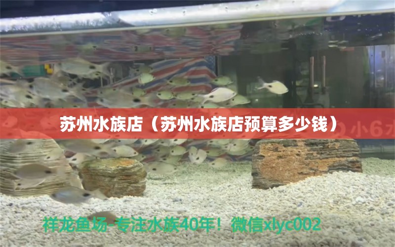 蘇州水族店（蘇州水族店預算多少錢）