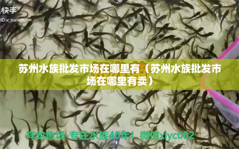 蘇州水族批發(fā)市場在哪里有（蘇州水族批發(fā)市場在哪里有賣）