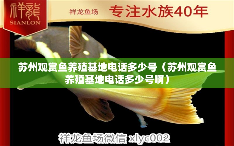 蘇州觀賞魚(yú)養(yǎng)殖基地電話多少號(hào)（蘇州觀賞魚(yú)養(yǎng)殖基地電話多少號(hào)?。?圣菲埃及魚(yú)