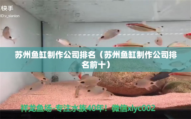 蘇州魚缸制作公司排名（蘇州魚缸制作公司排名前十）