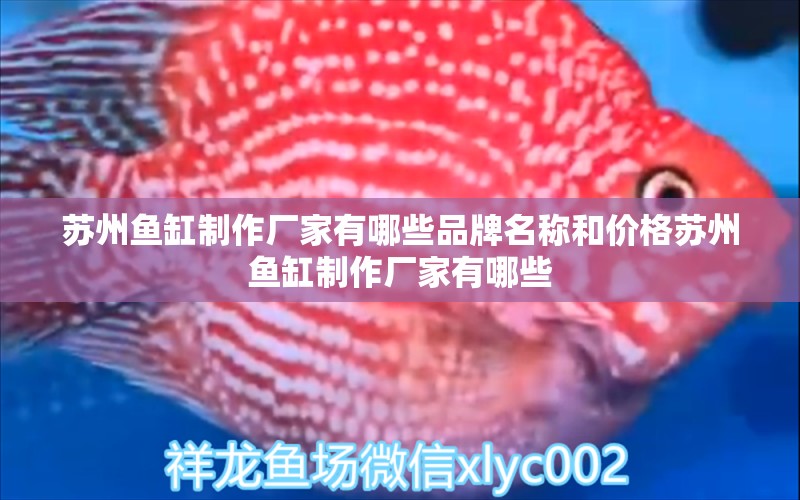 蘇州魚缸制作廠家有哪些品牌名稱和價格蘇州魚缸制作廠家有哪些