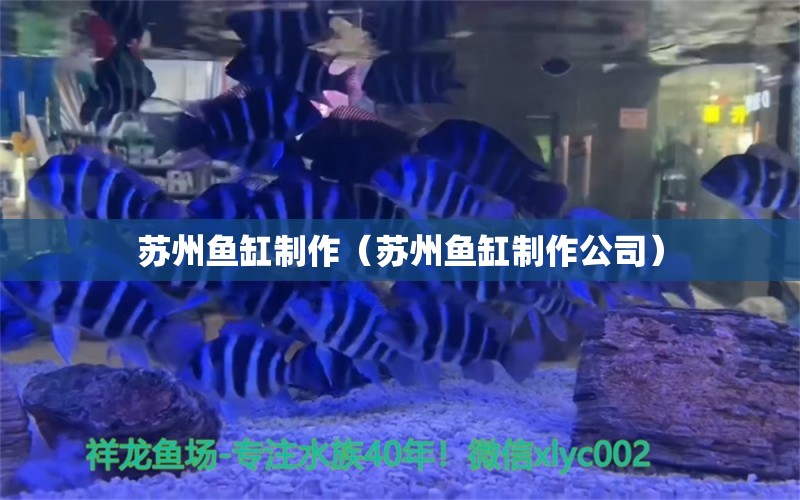 蘇州魚缸制作（蘇州魚缸制作公司）