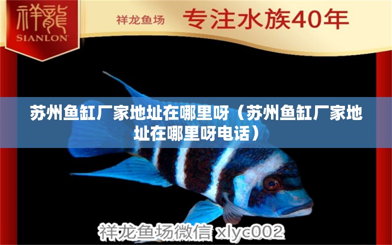 蘇州魚缸廠家地址在哪里呀（蘇州魚缸廠家地址在哪里呀電話） 祥龍水族醫(yī)院