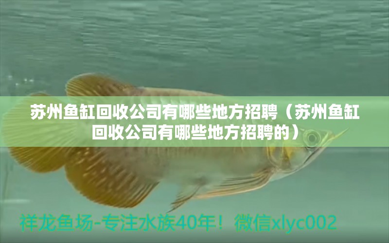 蘇州魚缸回收公司有哪些地方招聘（蘇州魚缸回收公司有哪些地方招聘的）