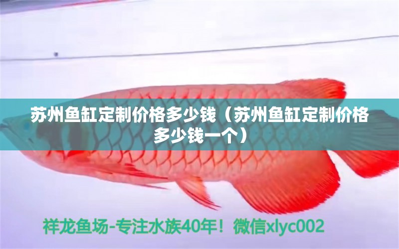 蘇州魚缸定制價格多少錢（蘇州魚缸定制價格多少錢一個）