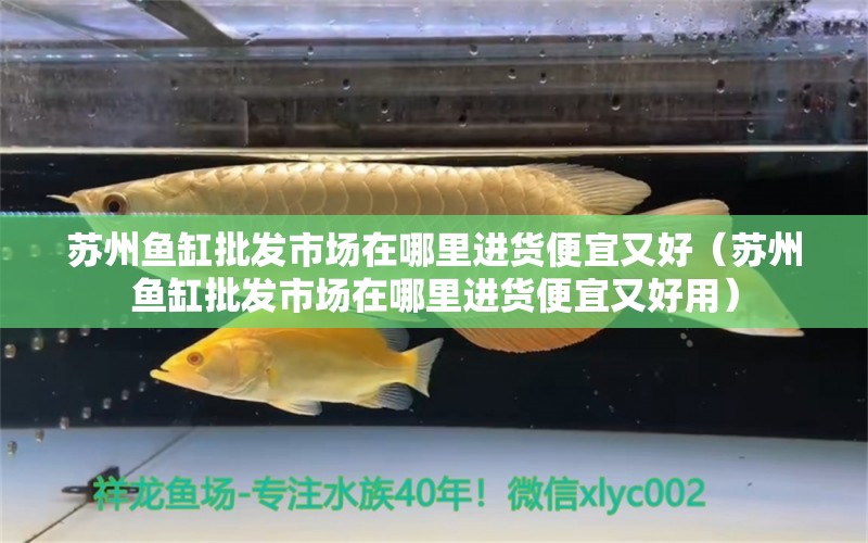 蘇州魚缸批發(fā)市場(chǎng)在哪里進(jìn)貨便宜又好（蘇州魚缸批發(fā)市場(chǎng)在哪里進(jìn)貨便宜又好用） 觀賞魚市場(chǎng)（混養(yǎng)魚）