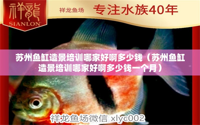 蘇州魚缸造景培訓(xùn)哪家好啊多少錢（蘇州魚缸造景培訓(xùn)哪家好啊多少錢一個月）