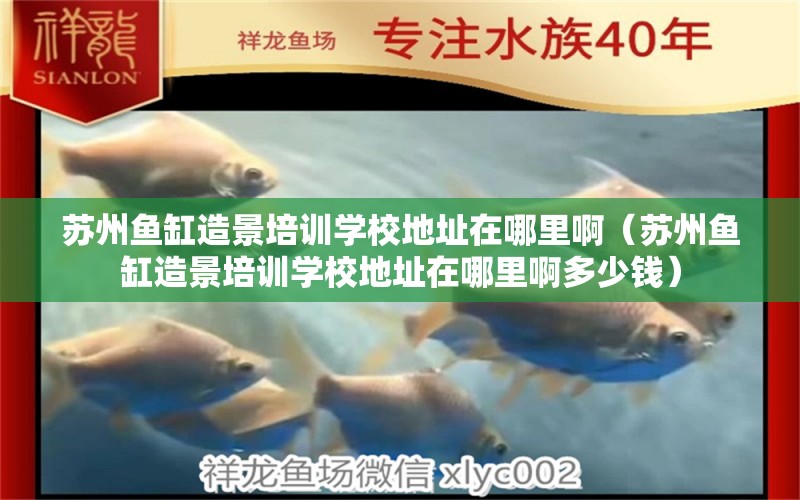 蘇州魚缸造景培訓學校地址在哪里?。ㄌK州魚缸造景培訓學校地址在哪里啊多少錢）