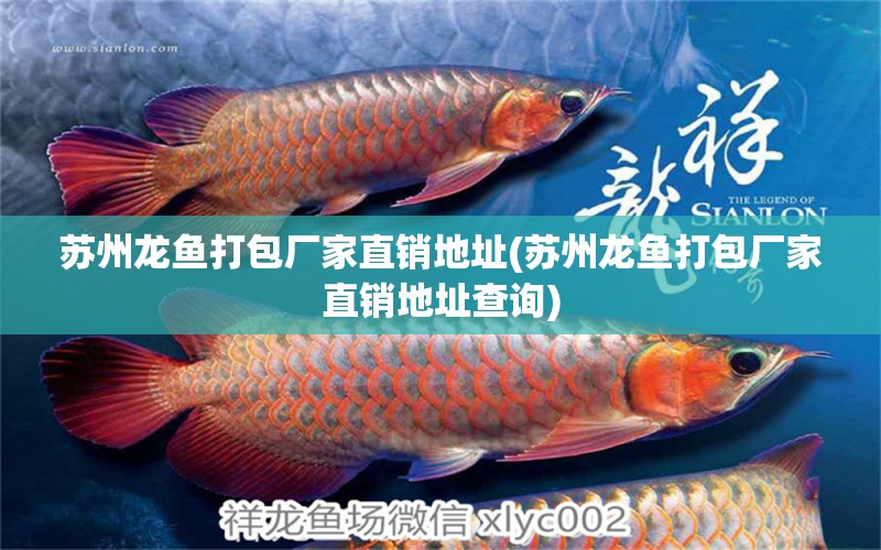 蘇州龍魚(yú)打包廠家直銷(xiāo)地址(蘇州龍魚(yú)打包廠家直銷(xiāo)地址查詢) 孵化器