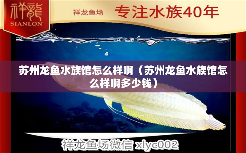 蘇州龍魚(yú)水族館怎么樣?。ㄌK州龍魚(yú)水族館怎么樣啊多少錢）