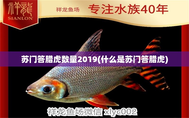 蘇門答臘虎數(shù)量2019(什么是蘇門答臘虎) 泰龐海鰱魚