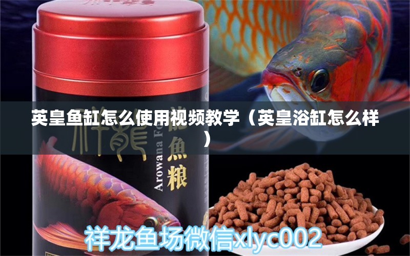 英皇魚缸怎么使用視頻教學(xué)（英皇浴缸怎么樣）