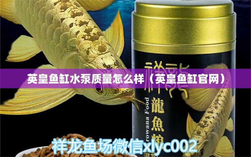 英皇魚缸水泵質(zhì)量怎么樣（英皇魚缸官網(wǎng)）