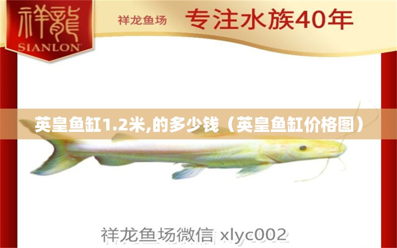 英皇魚(yú)缸1.2米,的多少錢(qián)（英皇魚(yú)缸價(jià)格圖） 祥龍魚(yú)場(chǎng)