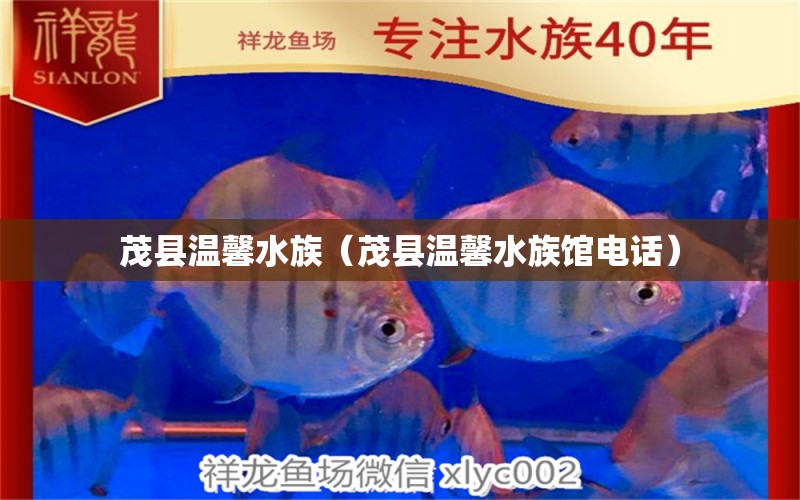 茂縣溫馨水族（茂縣溫馨水族館電話(huà)）