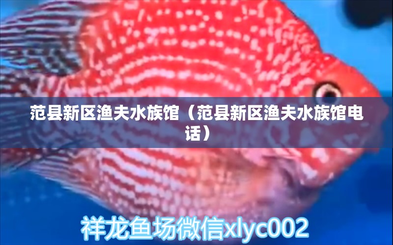 范縣新區(qū)漁夫水族館（范縣新區(qū)漁夫水族館電話） 全國水族館企業(yè)名錄