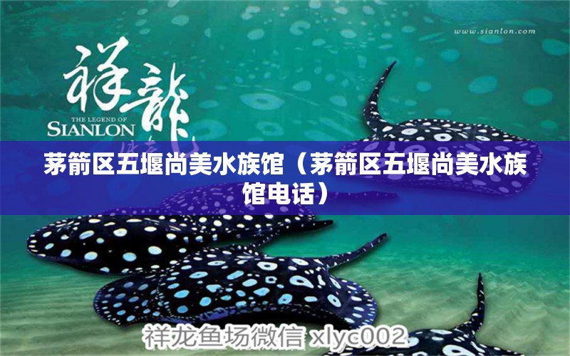 茅箭區(qū)五堰尚美水族館（茅箭區(qū)五堰尚美水族館電話） 全國(guó)水族館企業(yè)名錄