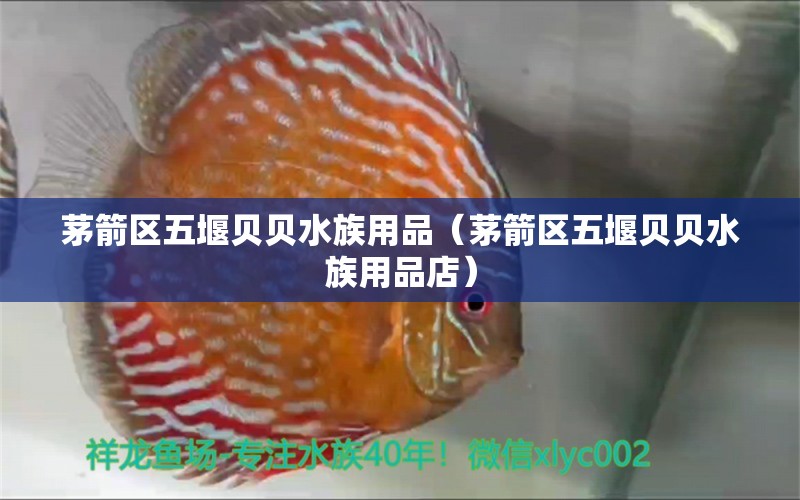 茅箭區(qū)五堰貝貝水族用品（茅箭區(qū)五堰貝貝水族用品店）