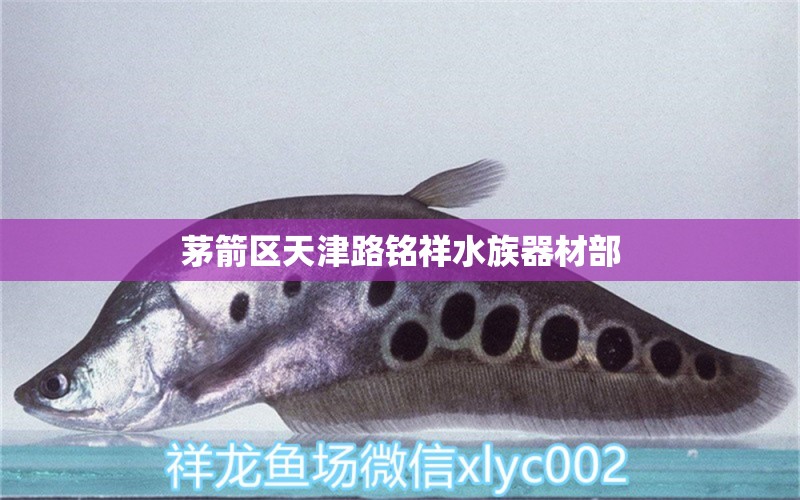 茅箭區(qū)天津路銘祥水族器材部