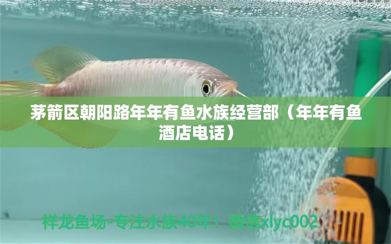 茅箭區(qū)朝陽(yáng)路年年有魚(yú)水族經(jīng)營(yíng)部（年年有魚(yú)酒店電話） 全國(guó)水族館企業(yè)名錄