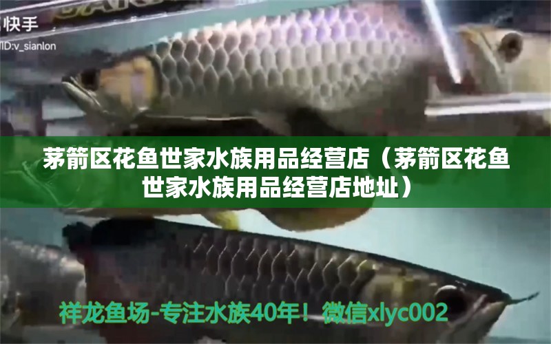 茅箭區(qū)花魚世家水族用品經(jīng)營店（茅箭區(qū)花魚世家水族用品經(jīng)營店地址）